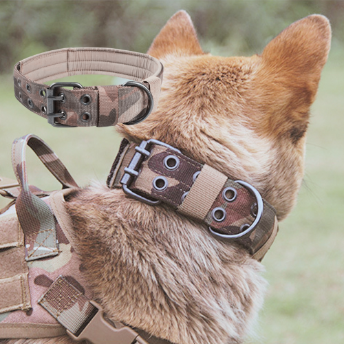 Collier de dressage pour chien-EnduroBeltâą : Ce collier chien aux couleurs treillis est parfait pour vos activitĂ©s dâentraĂźnement avec votre berger allemand et avec un rembourrage plus Ă©pais pour plus de confort
