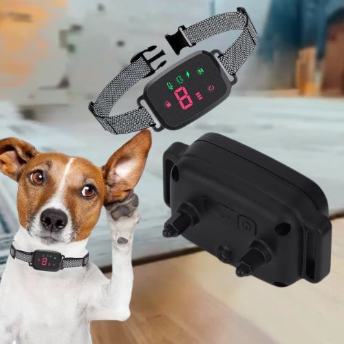 Collier dressage chien sur Jack Russell Terrier affichant le niveau 8, et vue détaillée du boîtier du récepteur avec les contacts.