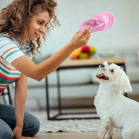 Femme agenouillée présentant un jouet pour chiens rose à un Bichon frisé blanc.