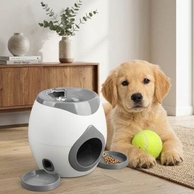 Chiot Golden Retriever couché à cÎté d'un lanceur de balle pour chiens blanc et gris.