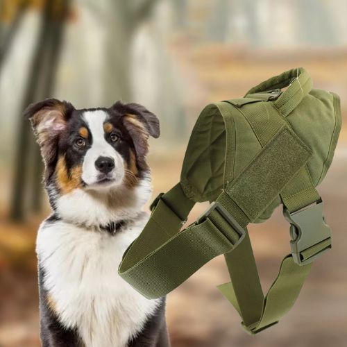 Harnais anti traction chien vert olive exposé à cÎté d'un Berger Australien.