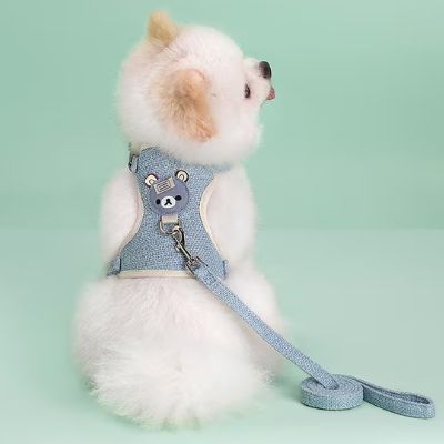 Harnais chien bleu ciel avec écusson ours porté par un chien blanc de race Spitz.