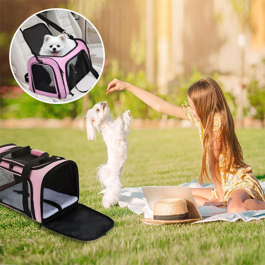 Chien sac de transport-PawfectTrip™ : sac de transport de couleur noir et rose posé près d'une fille qui joue avec son mignon caniche nain dans un parc