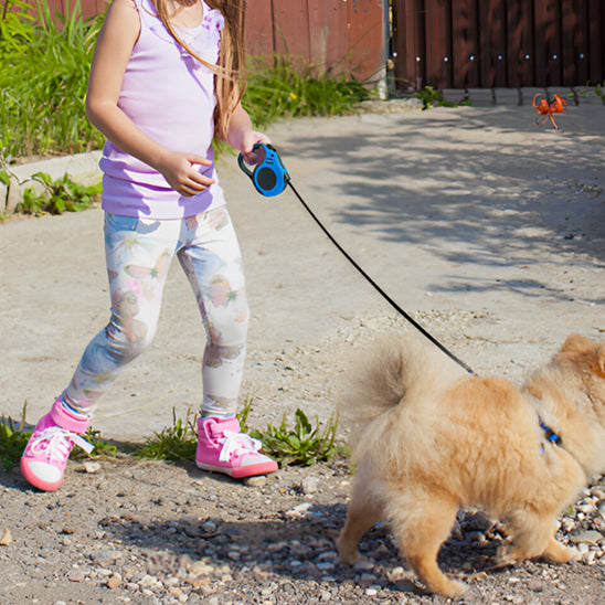 Laisse chien-Ticktack™ : Une fillette et son mignon caniche profitant du bon temps dans l'aller de la maison grâce à la laisse extensibles et rétractable, fabriquée en ABS et en fibre de polyester de couleur bleu et noir