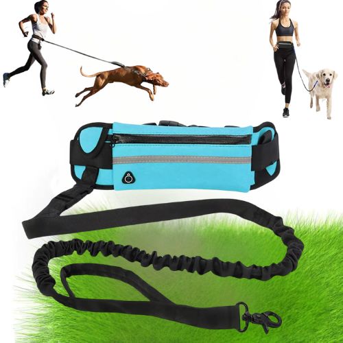 Vue détaillée du kit laisse pour chien mains libres bleue, illustrée par des coureuses pratiquant le sport avec un Vizsla et un Retriever.