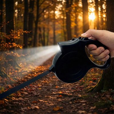 Main tenant une laisse pour chien noire avec lampe torche allumée sur un chemin forestier.