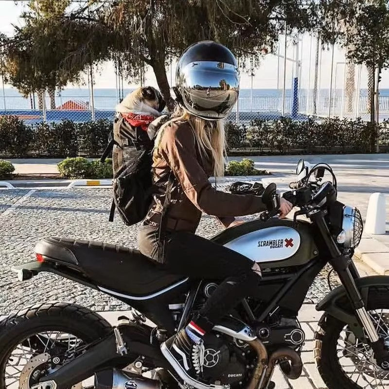 Carlin avec bandana dans un sac a dos chien noir porté par une femme à moto Ducati Scrambler.