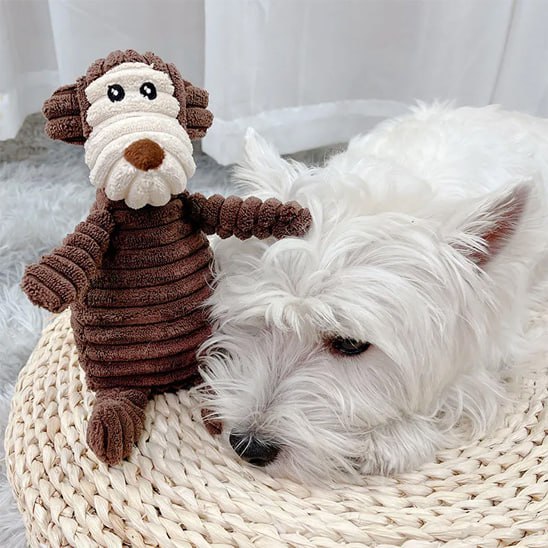 Chien Westie posé à côté d'une peluche pour chien en forme de singe brun en velours.