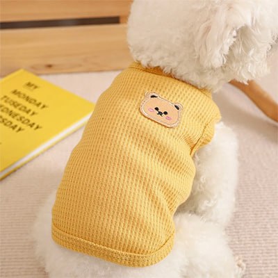 Petit bichon portant un pull chien jaune à motif ours, à côté d'un carnet de notes.