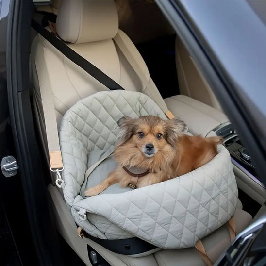 Sac de transport pour chien installé sur un siège auto avec fixation de sécurité.