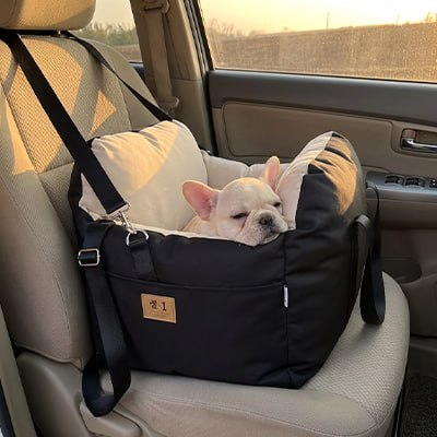 Bouledogue français crème endormi dans son siege auto pour chiens noir au coucher du soleil.