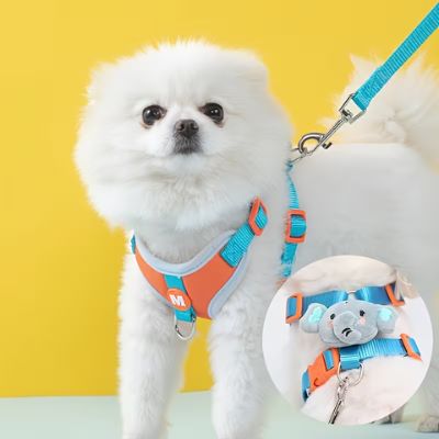 Spitz nain blanc portant un harnais chien orange et bleu avec une petite peluche éléphant.
