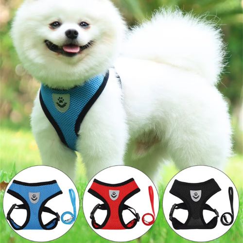 Chien harnais-HarnSFP™ :