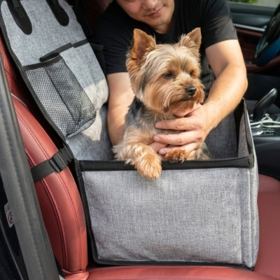 Yorkshire Terrier installé dans un siege auto pour chien gris par son propriétaire.