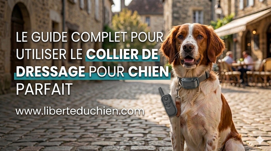 Le guide complet pour utiliser le collier de dressage pour chien parfait.