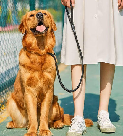 Laisse chien-Leadership™ : Ce labrador allongé tout content sur le trottoir au parc à coté de son maitre tenant sa laisse en nylon tressé doux à corde coulissante de couleur marron