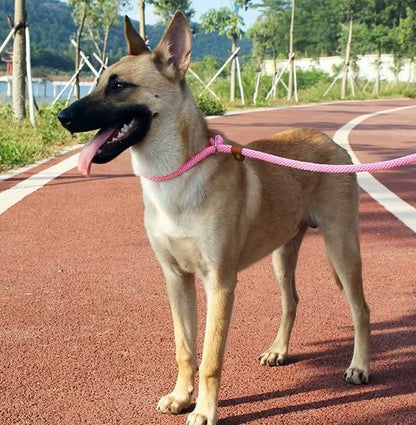 Laisse chien-Leadership™ : Ce chien arrêté sur le trottoir avec sa laisse rose est très moignon 