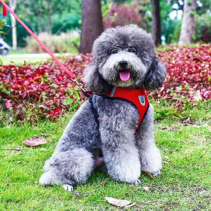 Chien harnais-HarnSFP™ : 