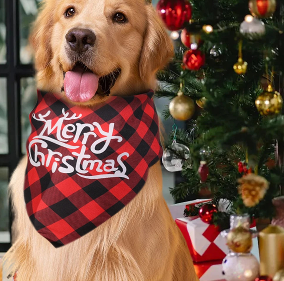 Collier Chien-BandanaXmas™ : Ce collier chien avec foulard carrelé rouge-noir et motif de noël fièrement porté par votre Golden Retriever tout content près du sapin.