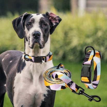 Ce Dogue Allemand ce fait remarquer au parc avec son cou le collier pour chien aux motifs bohémiens, accompagné d'une Laisse.
