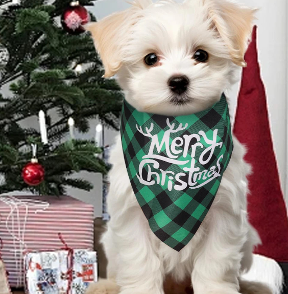 Collier Chien-BandanaXmas™ : Votre Bichon Maltais est tout mignon assis près du sapin de noël avec son collier chien avec foulard carrelé vert-noir et motif de noël