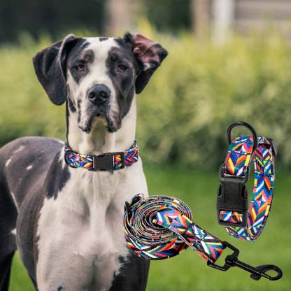 Ce collier pour chien aux motifs bohémiens porté par ce Dogue Allemand au parc, accompagné d'une Laisse. 
