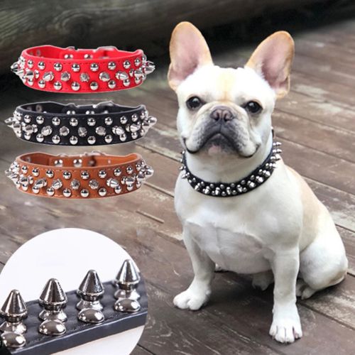 Ce bouledogue français portant son collier chien cuir : clouté noir assis sur un parquet est tout mignon et fière de portée ce collier.