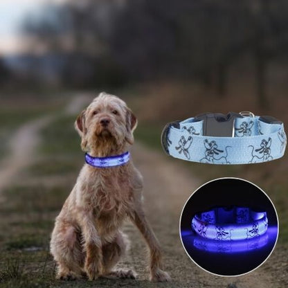 Ce braque slovaque est assis sur la route de campagne avec son collier lumineux pour chien de couleur bleu