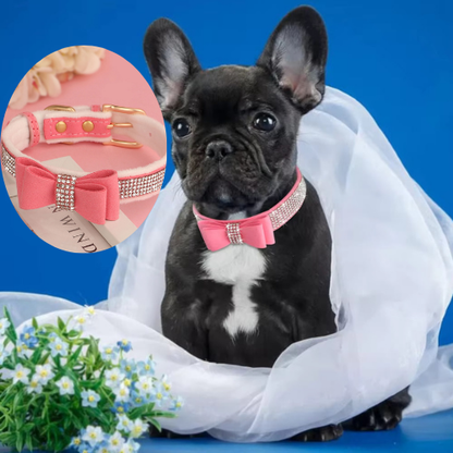Ce petit bulldog français porte son collier pour chien en daim doux orné de strass scintillant et d’un nœud papillon pendent un mariage en famille.