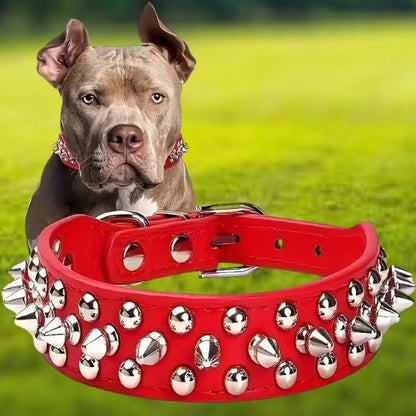 Un Bulldog français, couché en toute sécurité au parc, porte son collier chien cuir-clouté rouge qui lui donne un style punk. Il révèle aussi la personnalité d’un Pitbull.