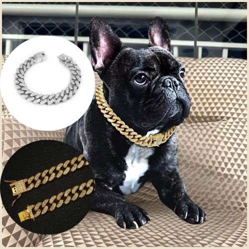 Un bulldog français est posé dans le salon sur le canapé avec un collier chien en chaine cubaine avec strass brillant, aussi disponible en couleur argentée.
