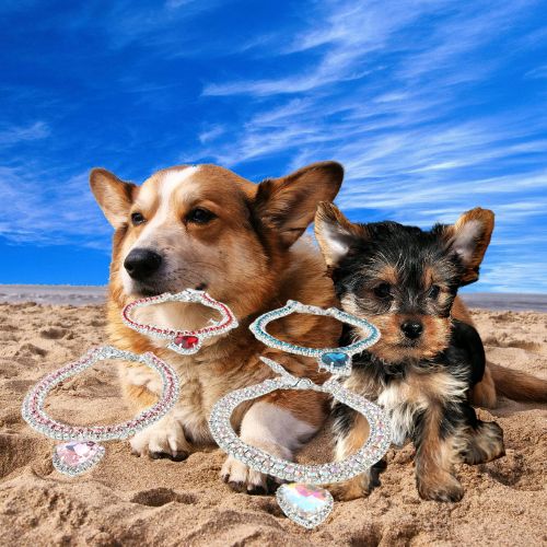 Collier chien-CuteHeart™ : Ce collier chien orné de strass brillant et d’un pendentif en forme de cœur fera tourner beaucoup de tête lors de vos sorties à la plage