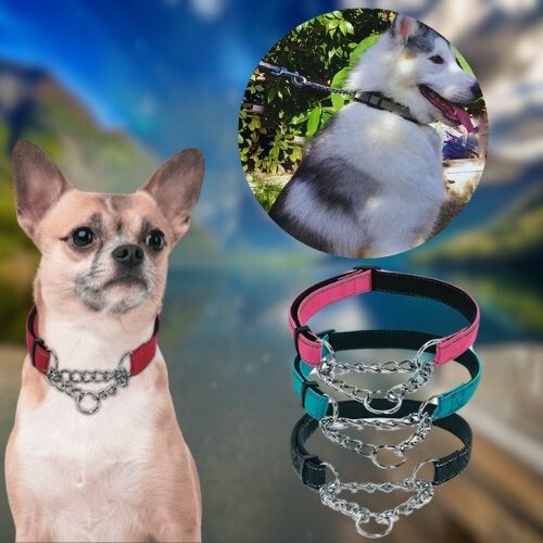 Collier chien-NyloSteel™ : Ce collier chien en nylon avec couture réfléchissante et  un alliage de chaînette en acier inoxydable est disponible en noir, rouge, bleu et rose pour les petits chiens comme les chihuahuas et les grands chiens comme un Husky