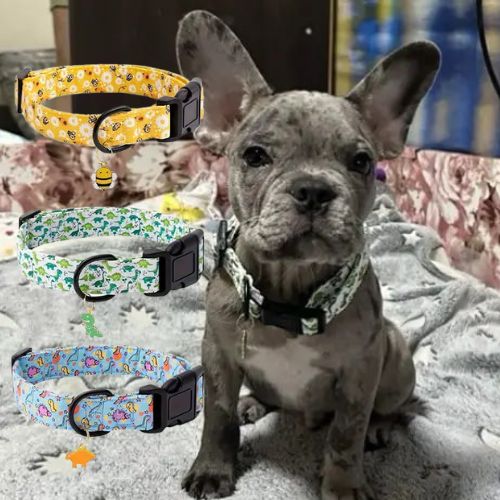 Collier chien-PendentifECP009™ : Ce mignon petit bouledogue français est confortablement assis au salon avec son collier chien au motif dinosaure de couleur verte avec un pendentif en forme de dinosaures