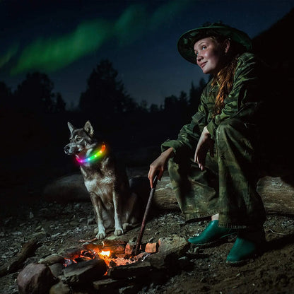 Cette dame est en train de camper en forêt avec son chien loup qui porte un collier lumineux pour chien de couleur multicolore.