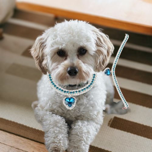 Ce collier chien orné de strass brillant de couleur bleue et d’un pendentif en forme de cœur est l’accessoire idéal pour votre Caniche posé tranquillement au salon