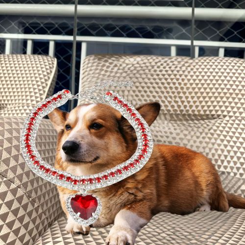 Avec ce collier chien orné de strass brillant de couleur rouge et d’un pendentif en forme de cœur votre Welsh Corgi et coucher tout heureux détendu sur le canapé du salon