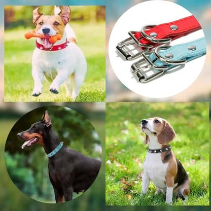 Ce collier chien cuir clouté procure confort et style à vos toutous. Il va aussi bien à votre beagle que votre doberman allant de la taille S à XL.