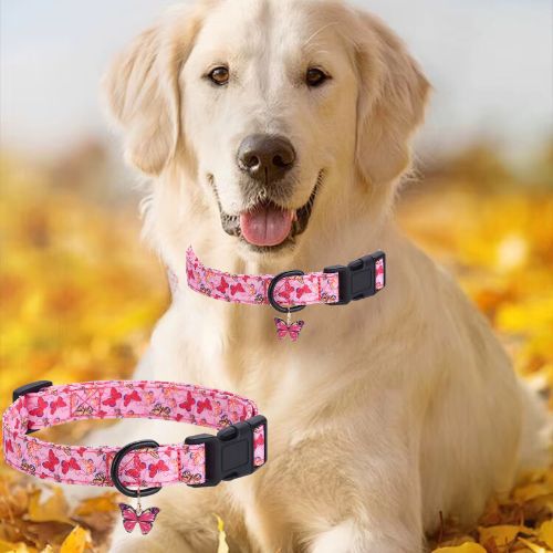 Ce collier chien de couleur rose au motif papillon avec le pendentif en forme de papillon et l'accessoire parfait pour les sorties du printemps au parc avec votre labrador.