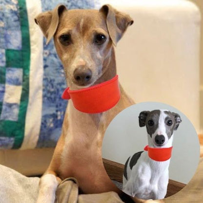 Collier chien cuir-FilledNeck™ : Ce collier chien en cuir de couleur rouge, procure style et confort aux lévriers que ce soit dans une maison ou à l’extérieur.