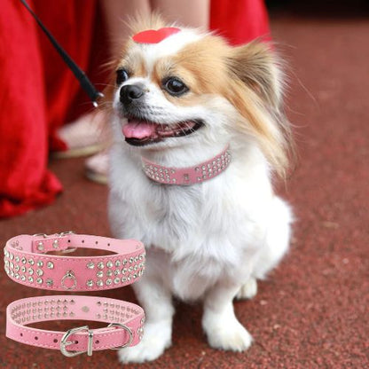 Ce petit chihuahua, marchant avec à son cou, son collier chien en cuir de suédé ultra-loft de couleur rose, orné de trois rangées de strass brillant, attaché par une laisse noire, tenue par son maître