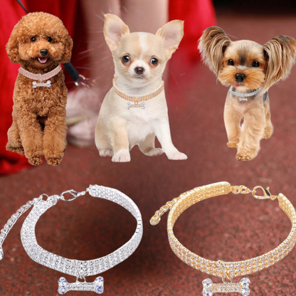 Ce bichon frisé, chihuahua ou encore ce yorkshire se relaxant sur le tapis ont tous au cou un collier chien en cuivre orné de strass étincellent et d’un pendentif brillant en forme d’os de couleur rose, doré ou argenté.