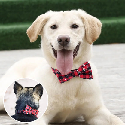 Le confort se fait ressentir sur ce chien labrador assis au parc avec son collier pour chien au motif et conseils avec un nœud papillon de couleur rouge.
