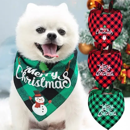  Bandana chien avec foulard carrelé vert-noir et motif de Noël est confortable et fièrement porté par ce mignon Loulou de Poméranie.
