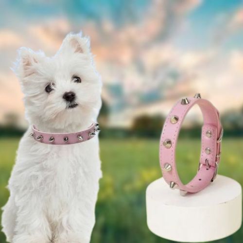 Collier chien - ResilientChic™ : Ce collier chien clouté de couleur rose est parfait pour votre bichon maltais avec une taille M qui lui procure sécurité