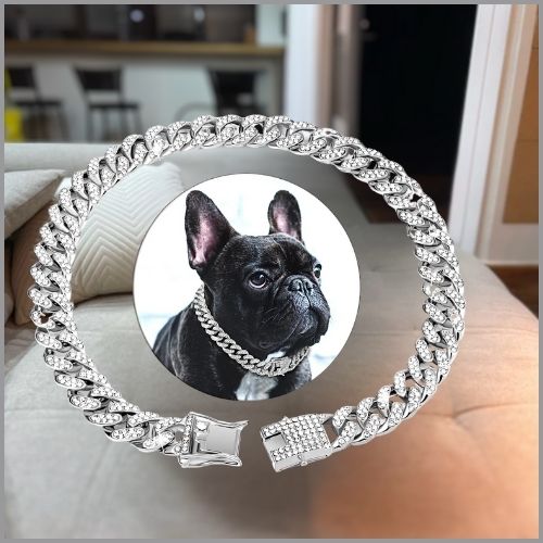 Joli collier chien en chaine cubaine avec incrustation de diamants porté par un bulldog français en couleur argent, dans le salon.