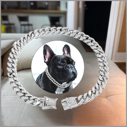 Joli collier chien en chaine cubaine avec incrustation de diamants porté par un bulldog français en couleur argent, dans le salon.
