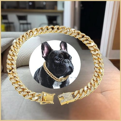 Joli collier chien en chaine cubaine avec incrustation de diamants porté par un bulldog français en or, posé dans le salon.