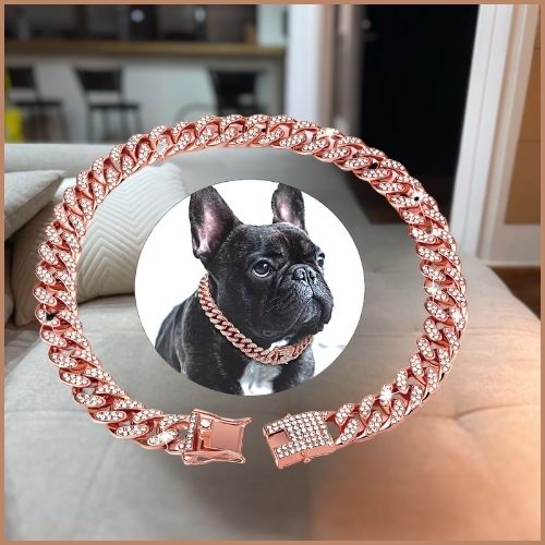 Joli collier chien en chaine cubaine avec incrustation de diamants porté par un bulldog français en couleur rose cuivre dans le salon.
