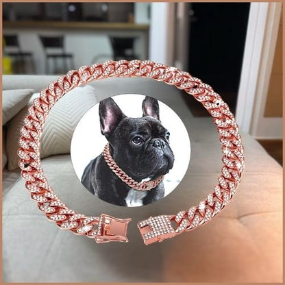 Joli collier chien en chaine cubaine avec incrustation de diamants porté par un bulldog français en couleur rose cuivre dans le salon.